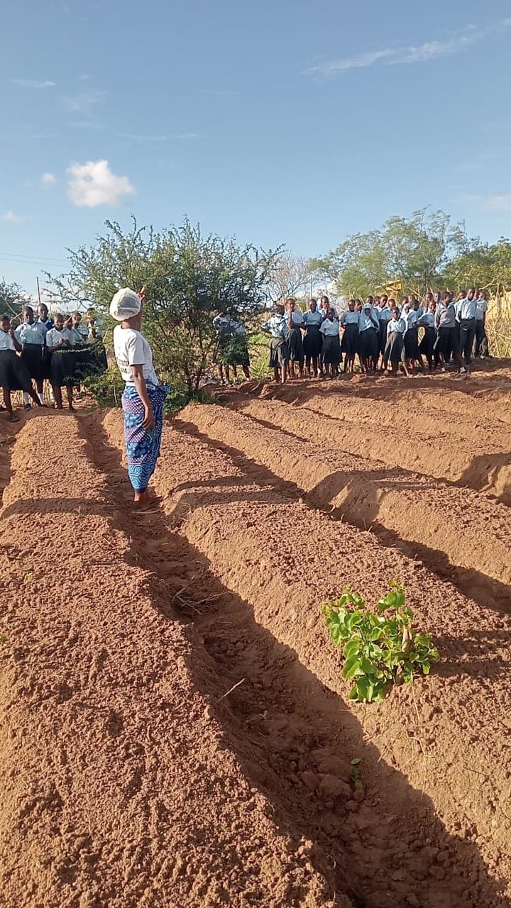 Nettle Regenerative demonstration farm site in Baolala
