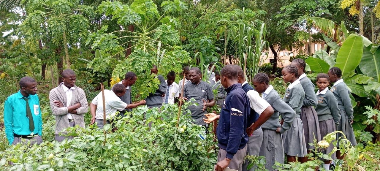 Nettle Regenerative Farm in Baolala, Kilifi County, Kenya
